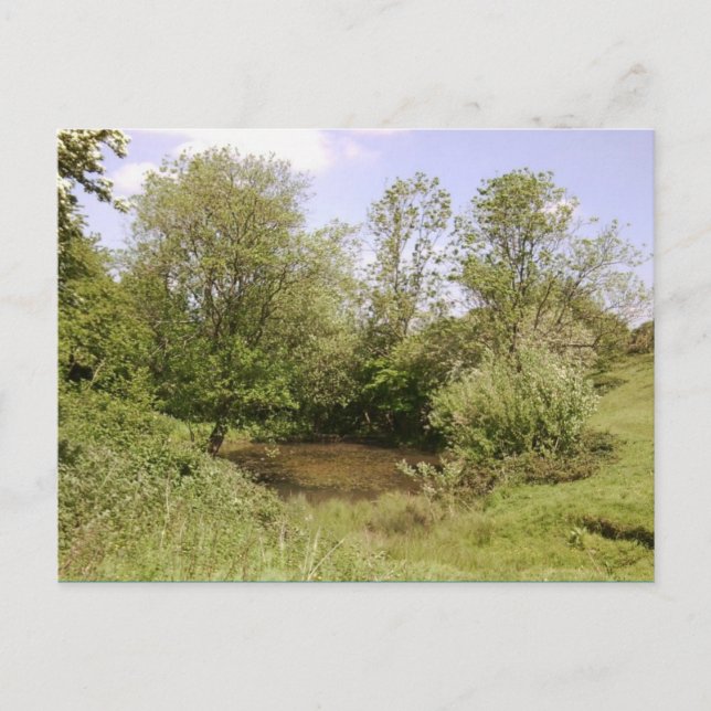 Postal de fotografía de estanque oculto (Anverso)