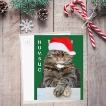 Postal de fotografía de Humbug para navidades