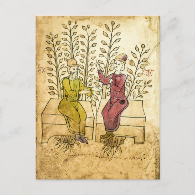 Postal de fotografía real de Manuscrito Herbalísti (Anverso)