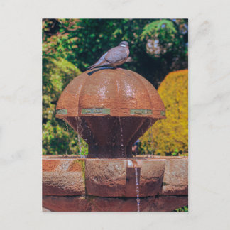 Postal de fotografía vintage de la fuente del pich
