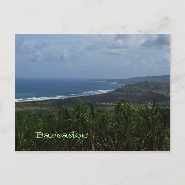 Postal de fotos de Barbados Island View (Anverso)