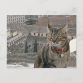 Postal de fotos de gato