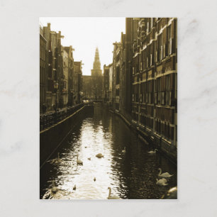 Postal de fotos de los Cisnes del Canal de Amsterd