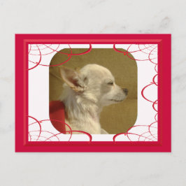 Postal de Fractal Chihuahua