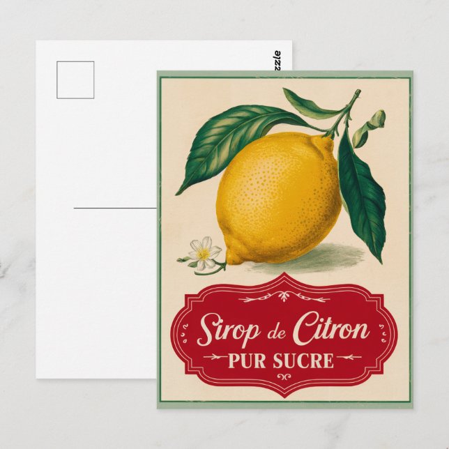 Postal de fruta botánica de limón vintage (Anverso / Reverso)