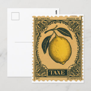 Postal de fruta botánica de limón vintage