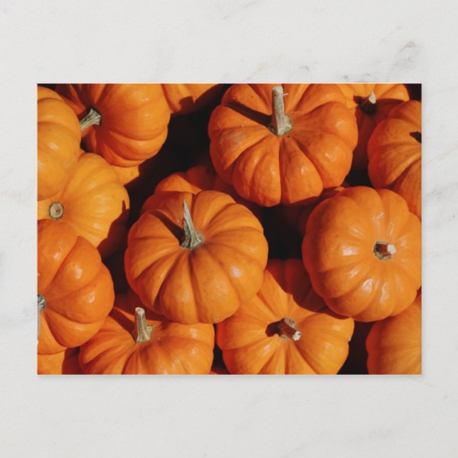 Postal de fruta y comida 17 (Anverso)