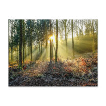 Postal de Furnace Valley