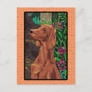 Postal de Garden Setter