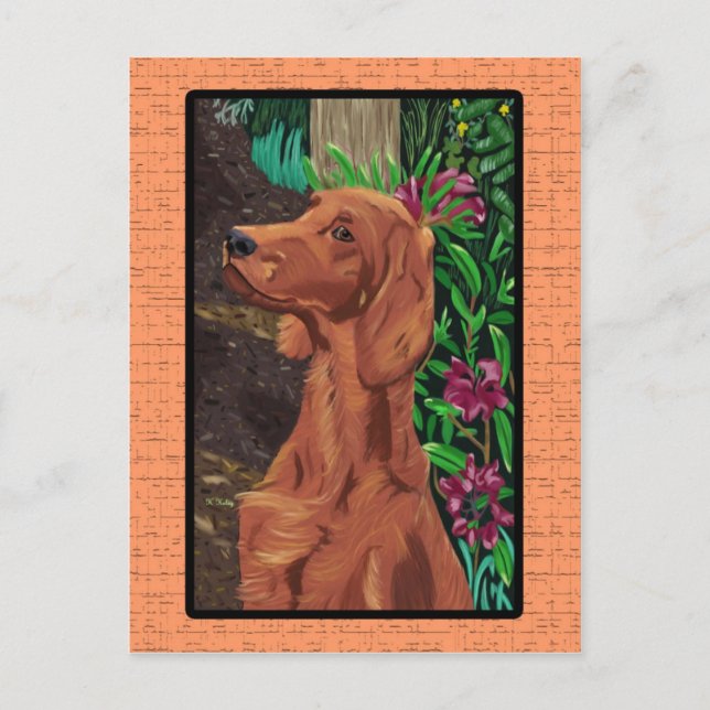 Postal de Garden Setter (Anverso)
