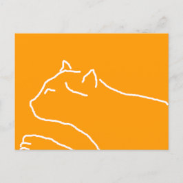 postal de gato