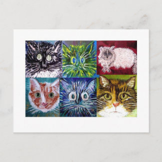 Postal de gato