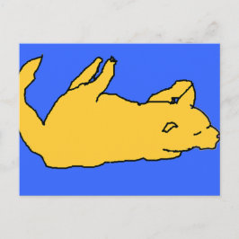 postal de gato