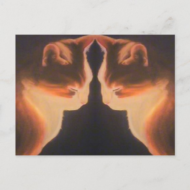 Postal de gato (Anverso)