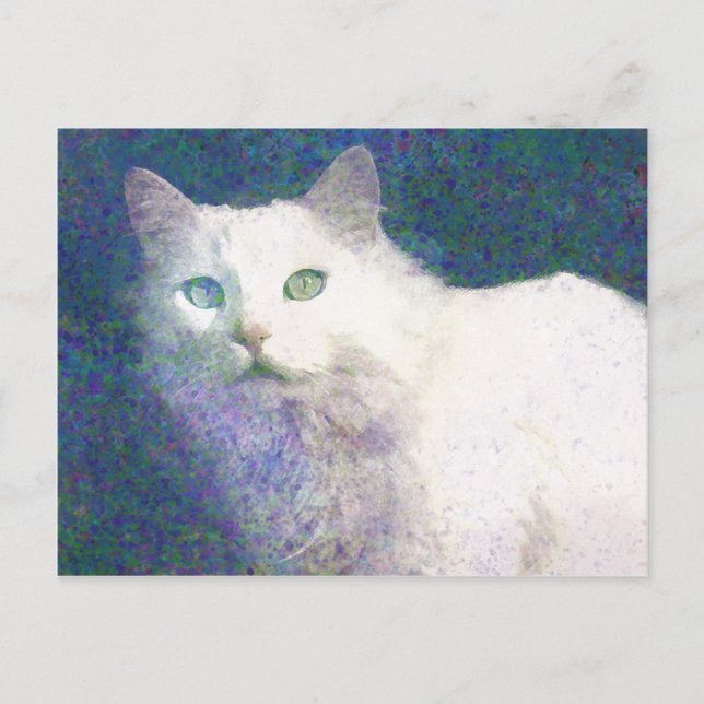 postal de gato blanco texturizado (Anverso)