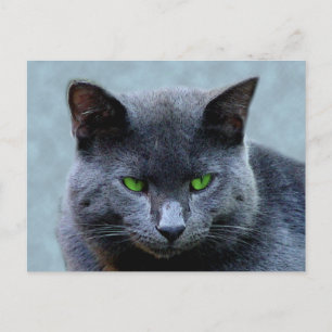 Postal de gato con ojos verdes