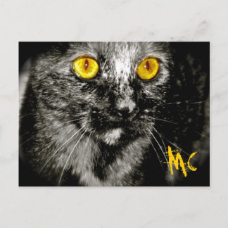 Postal de gato de mono