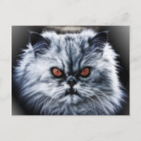 Postal de gato enojada
