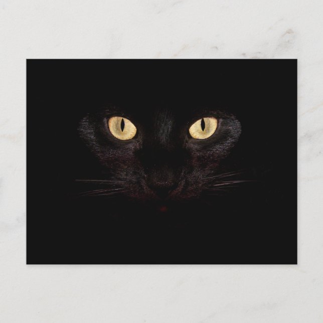 postal de gato negro (Anverso)