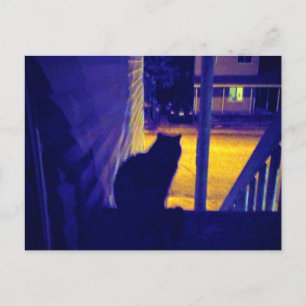 Postal de Gato Nocturno en el Antiguo Barrio