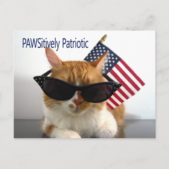 Postal de gato patriótico de PAWSitive (Anverso)