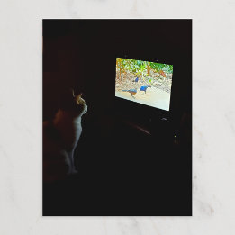Postal de gato que ama su tiempo en pantalla