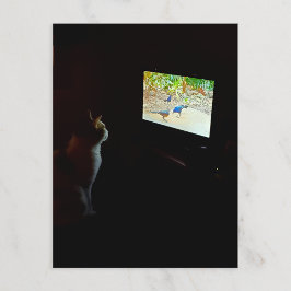 Postal de gato que ama su tiempo en pantalla