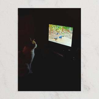 Postal de gato que ama su tiempo en pantalla