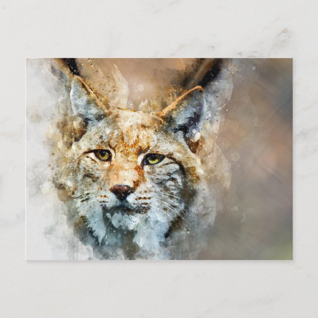 postal de gato salvaje (Anverso)