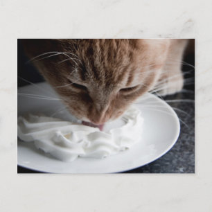 Postal de gatos felices
