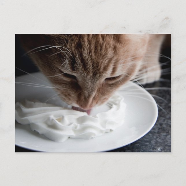 Postal de gatos felices (Anverso)