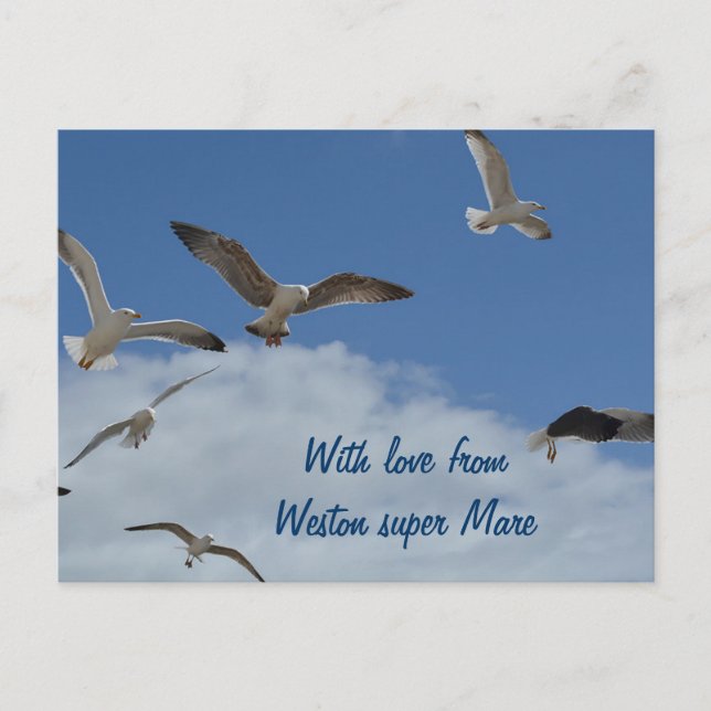 Postal de gaviota - de Weston super Mare (Anverso)