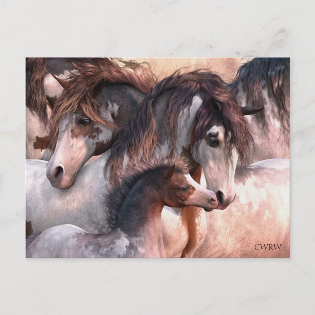 Postal de generaciones (Anverso)