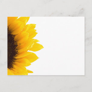 postal de girasol por Petr Kratochvil