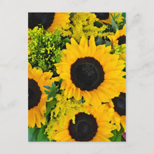 postal de girasoles amarillos pintados