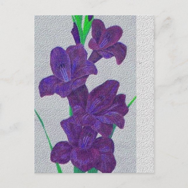 postal de gladiolus (Anverso)
