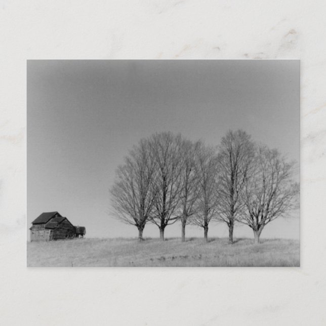 Postal de granjas y árboles (Anverso)