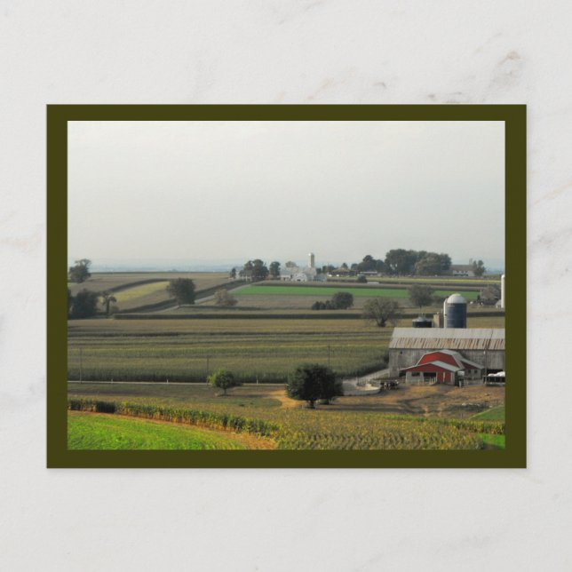 Postal De Grasshopper Level (Anverso)