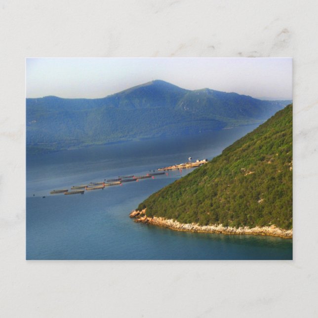 Postal de Grecia (Anverso)