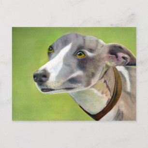 Postal de Greyhound (a404)