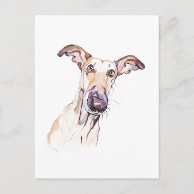 Postal de Greyhound, Ilustración de Perro (Anverso)
