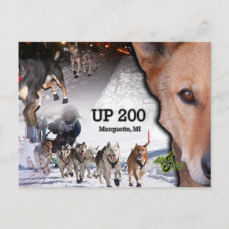 Postal de grupo UP 200