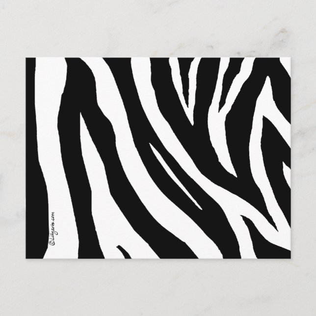 Postal de Guay Zebra Stripes (Anverso)