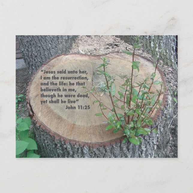 Postal de guiones (Anverso)