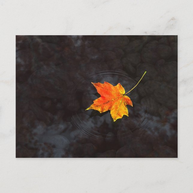 Postal de Haiku (Anverso)