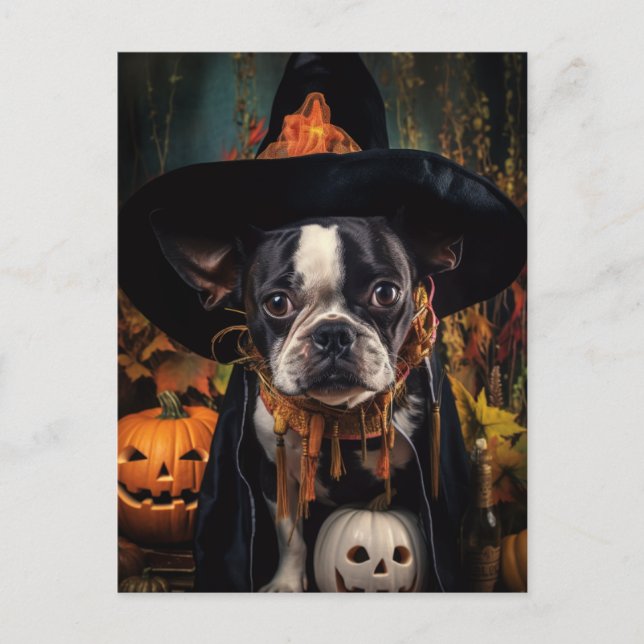 Postal de Halloween Boston Terrier (Anverso)