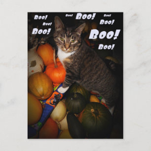 Postal de Halloween con gatos y calabazas