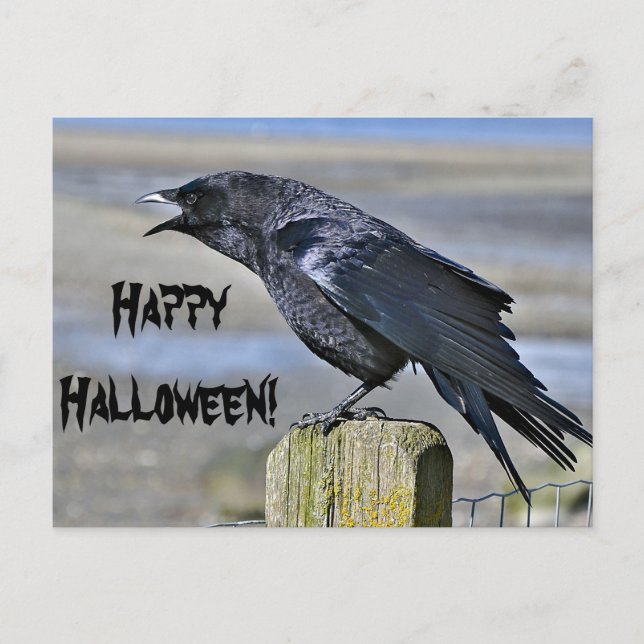 Postal de halloween de cuerdas negras (Anverso)