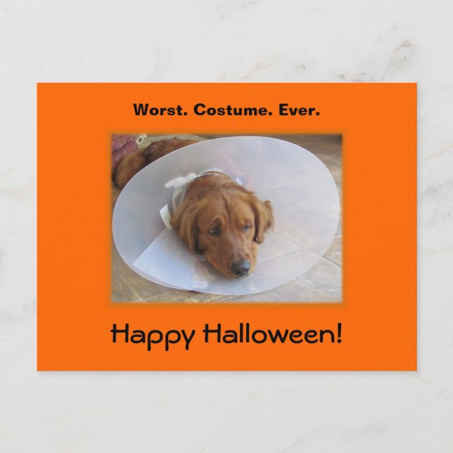 Postal de Halloween de Golden Retriever (Anverso)