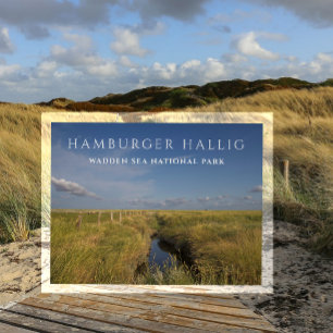Postal de Hamburger Hallig, Mar de Wadden, Alemani